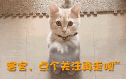 王”跌落神坛沦为奥莱打折品网友：智商税球盟会qmh网页版2000亿！中产“鞋(图12)
