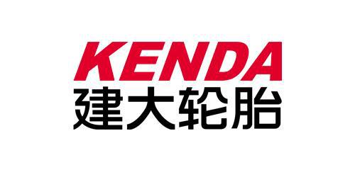 赛轮、玲珑、森麒麟、三角、双星中国轮胎上市公司大起底：正新、(图2)