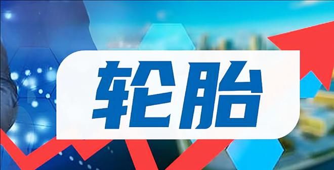 赛轮、玲珑、森麒麟、三角、双星中国轮胎上市公司大起底：正新、(图10)