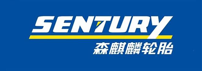 赛轮、玲珑、森麒麟、三角、双星中国轮胎上市公司大起底：正新、(图9)
